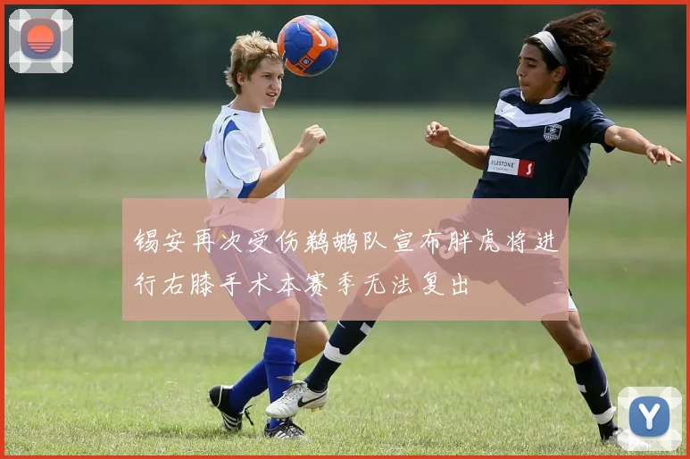 锡安再次受伤鹈鹕队宣布胖虎将进行右膝手术本赛季无法复出