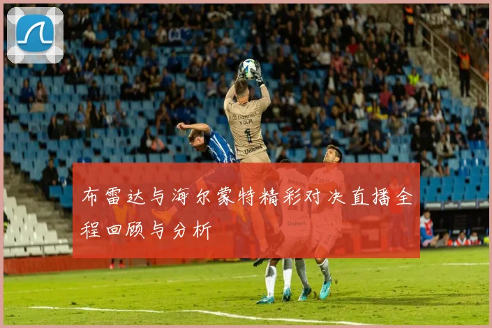 布雷达与海尔蒙特精彩对决直播全程回顾与分析