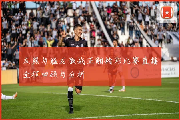 灰熊与猛龙激战正酣精彩比赛直播全程回顾与分析