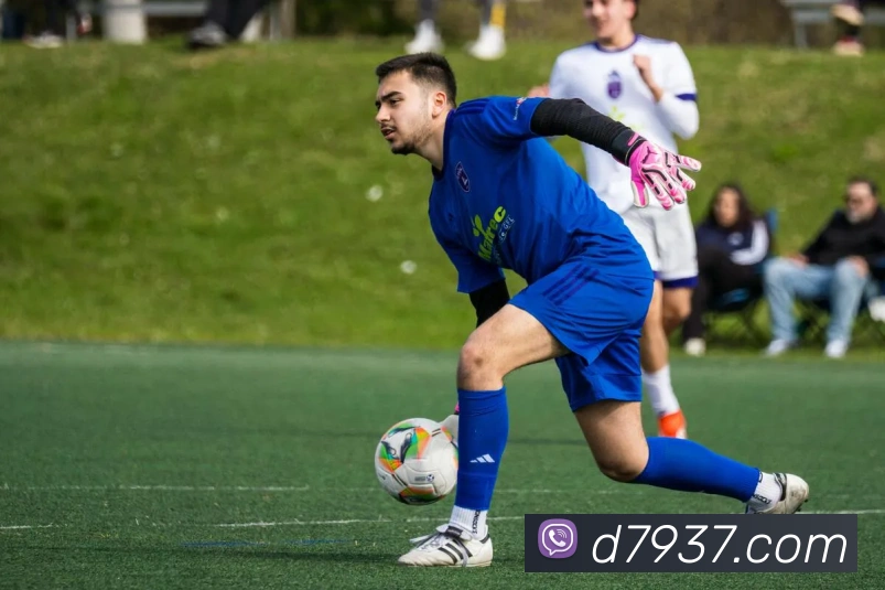 三亿体育APP 高清赛事图